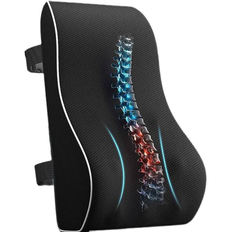 The ErgoBack